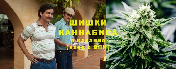 прущие грибы Балабаново