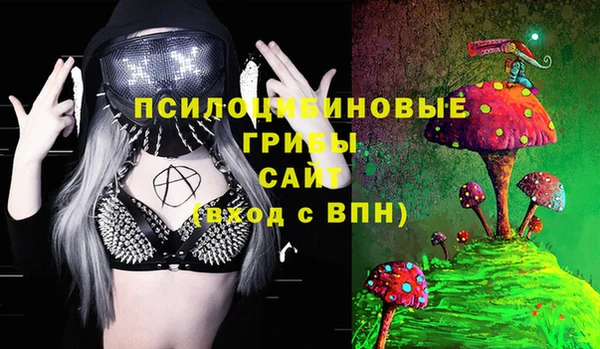 гидра Бронницы