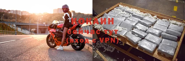 гидра Бронницы
