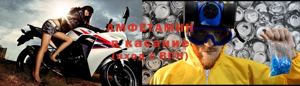 прущие грибы Балабаново